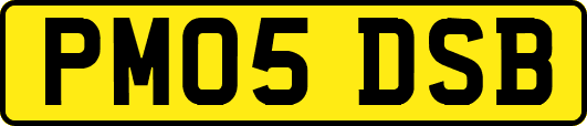 PM05DSB