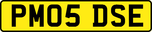 PM05DSE