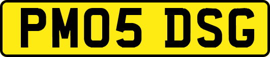PM05DSG