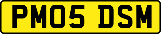 PM05DSM