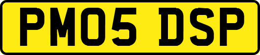 PM05DSP