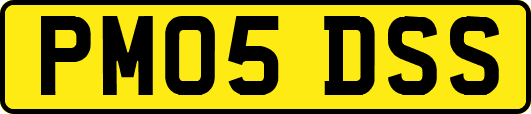 PM05DSS