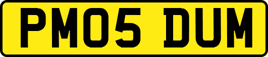 PM05DUM