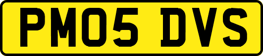 PM05DVS