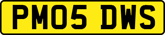 PM05DWS