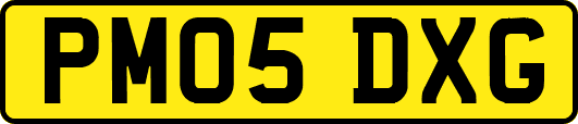 PM05DXG