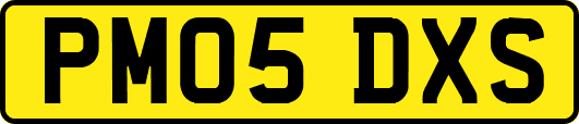 PM05DXS