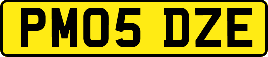 PM05DZE