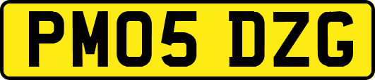 PM05DZG