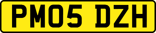 PM05DZH
