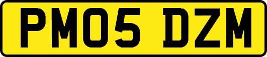 PM05DZM