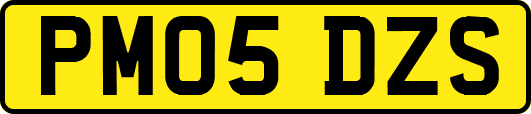 PM05DZS