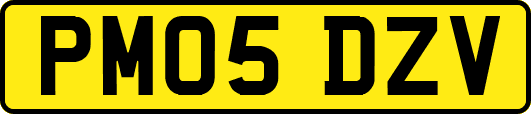 PM05DZV