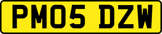 PM05DZW