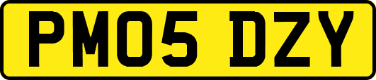 PM05DZY