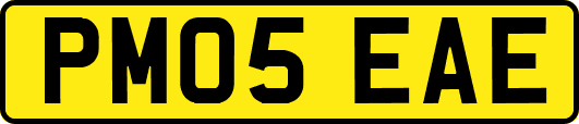 PM05EAE