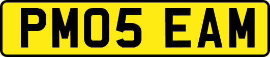 PM05EAM