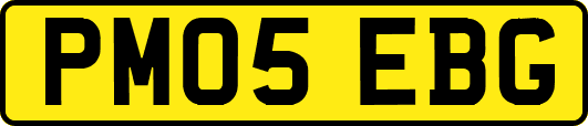 PM05EBG