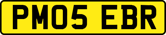 PM05EBR