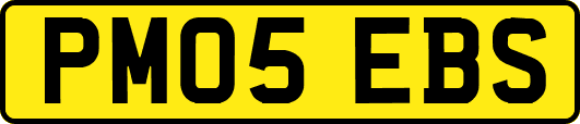 PM05EBS
