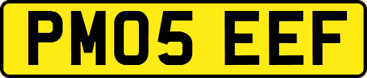 PM05EEF