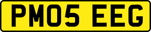PM05EEG