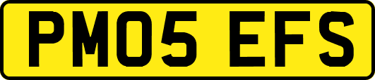PM05EFS