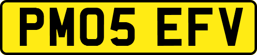 PM05EFV