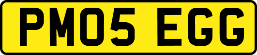PM05EGG