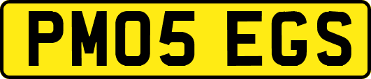 PM05EGS