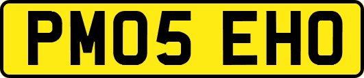 PM05EHO