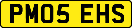 PM05EHS