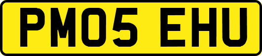 PM05EHU