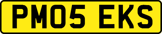 PM05EKS