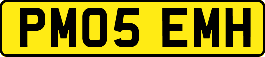 PM05EMH