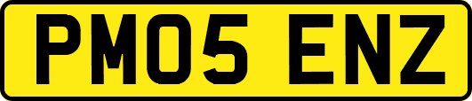 PM05ENZ