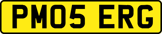 PM05ERG