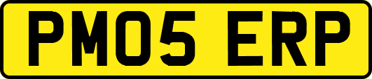 PM05ERP