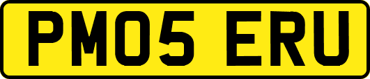 PM05ERU