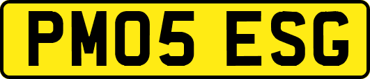 PM05ESG