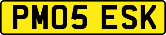 PM05ESK