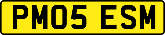 PM05ESM