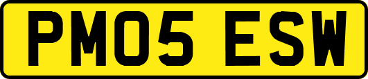 PM05ESW