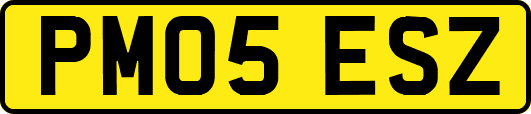 PM05ESZ
