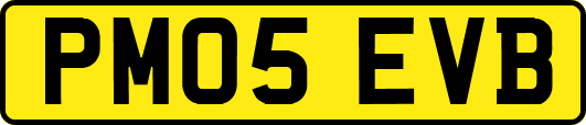 PM05EVB