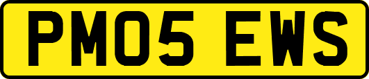 PM05EWS