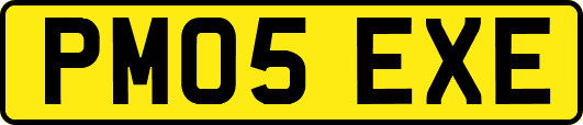 PM05EXE