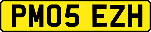 PM05EZH