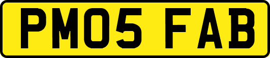PM05FAB