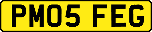 PM05FEG